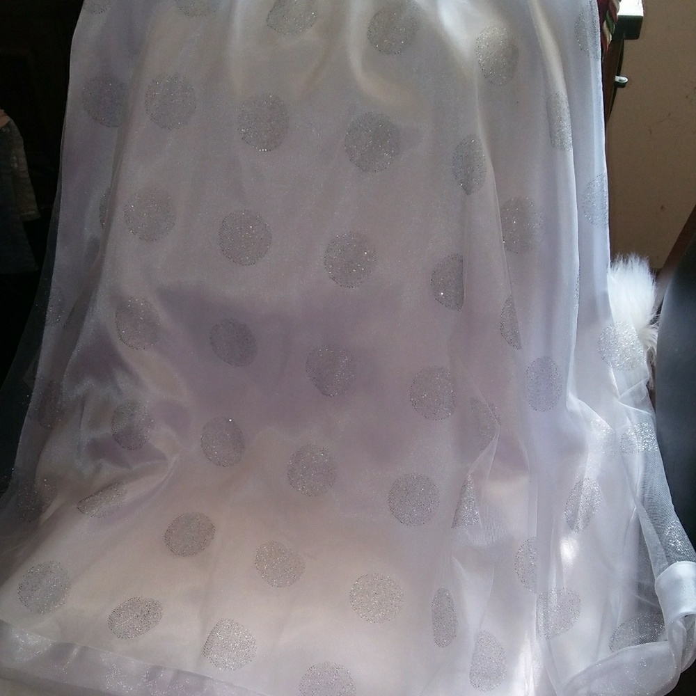 🔥PRICE DROP🔥skirt w/silver glittery dots - Picture 3 of 6